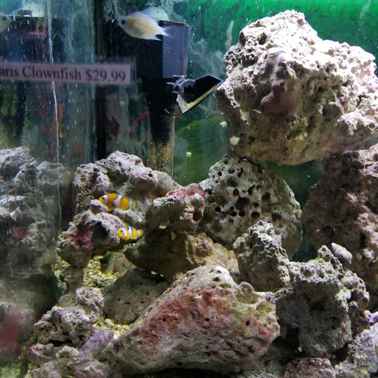 Aqualand Aquarium Center - Aquarium Shop in Minneapolis