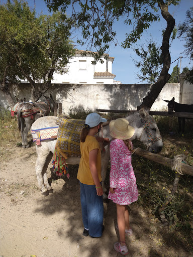 Los Burros De Juanino - Thumbnail