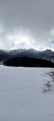 Sorgente della Radice - Thumbnail