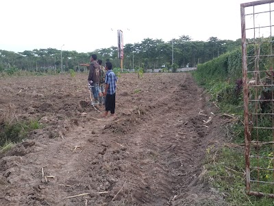 Photos of Cassava Agronergy Kualanamo