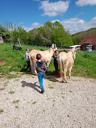 Photo n°24 de Histoires d'ânes en Corrèze à Tudeils (Circuit de randonnée)