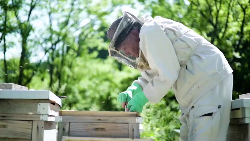 金澤やまぎし養蜂場大桑店