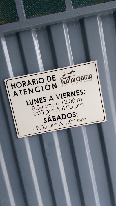 Photos of Plataforma de Servicios Veterinarios