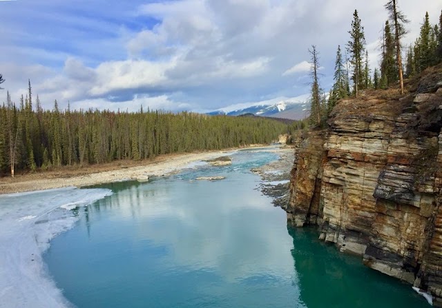 Athabasca Falls