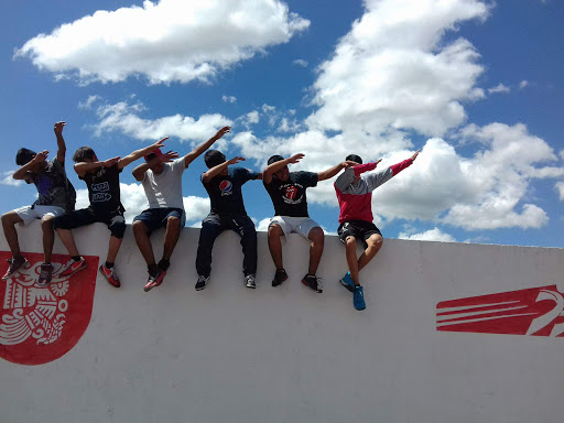 Ex Modulo Cholula - Visual