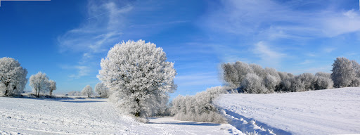 Nottuln Baumberge Schutzgebiet - Thumbnail