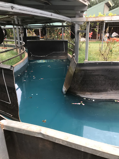 Kaidon park equine salt therapy and rehab - Thumbnail