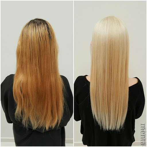 Menta - Visual