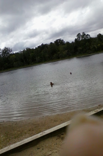 Benjamin Lake Family Picnic Area - Thumbnail