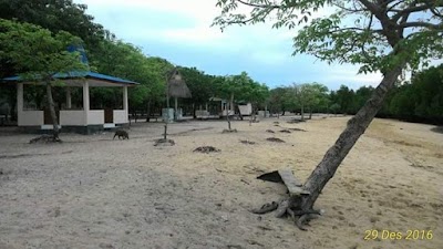 Photos of Pasir Putih Atapupu Beach