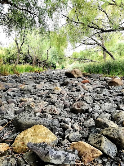 Photos of Karnmelkspruit River Resort