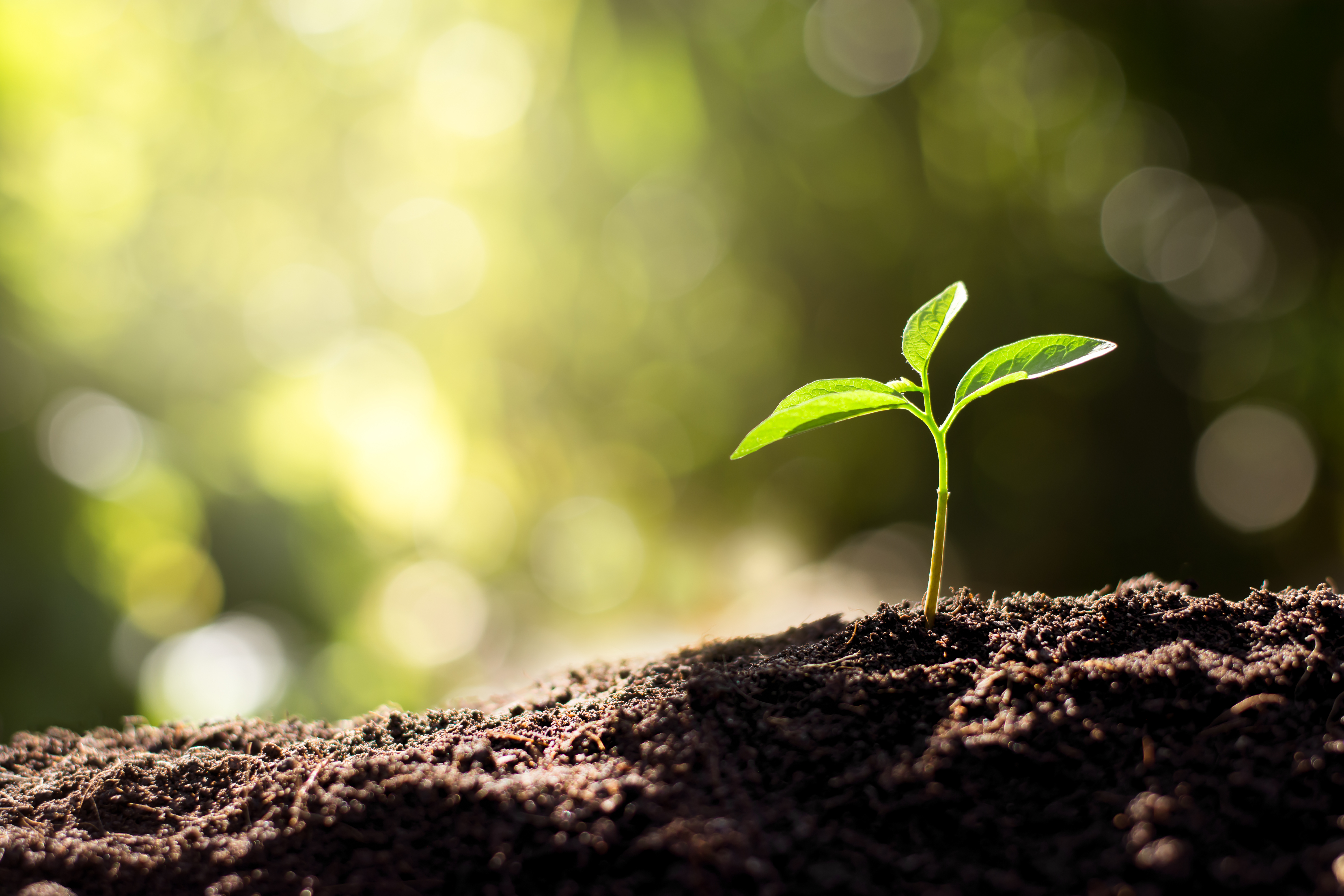 Spring Creek AG Products, Inc.