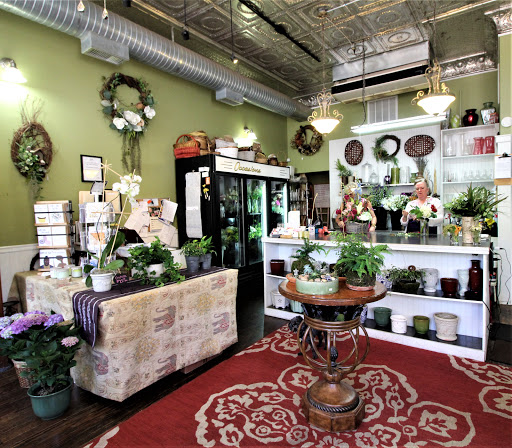 Occasions Florist - Thumbnail
