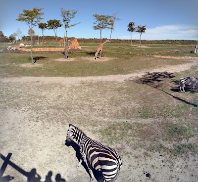 Photos of Columbus Zoo and Aquarium