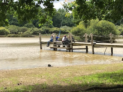 Le Parc De La Brosse - Fonds Solidaire Bertrand Gonnord