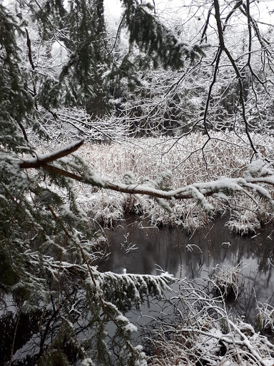 Oelknitzer Grund - Visual