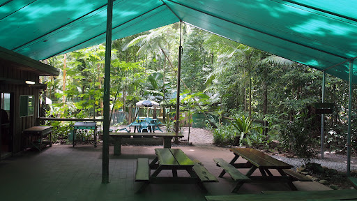 Cafe Crocs - Visual