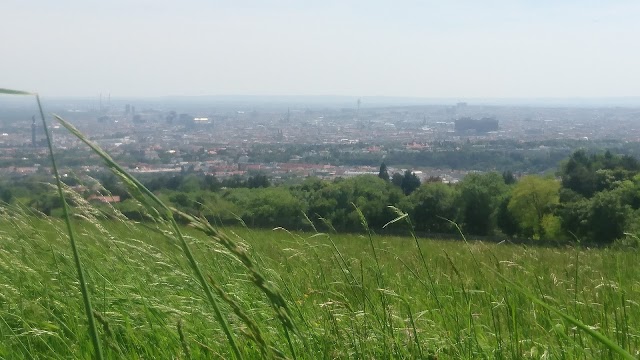 Bellevuewiese