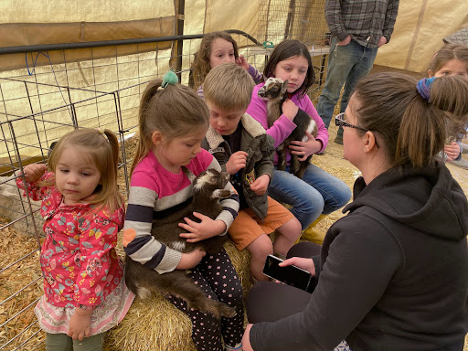 Tulip Festival Petting Farm - Thumbnail