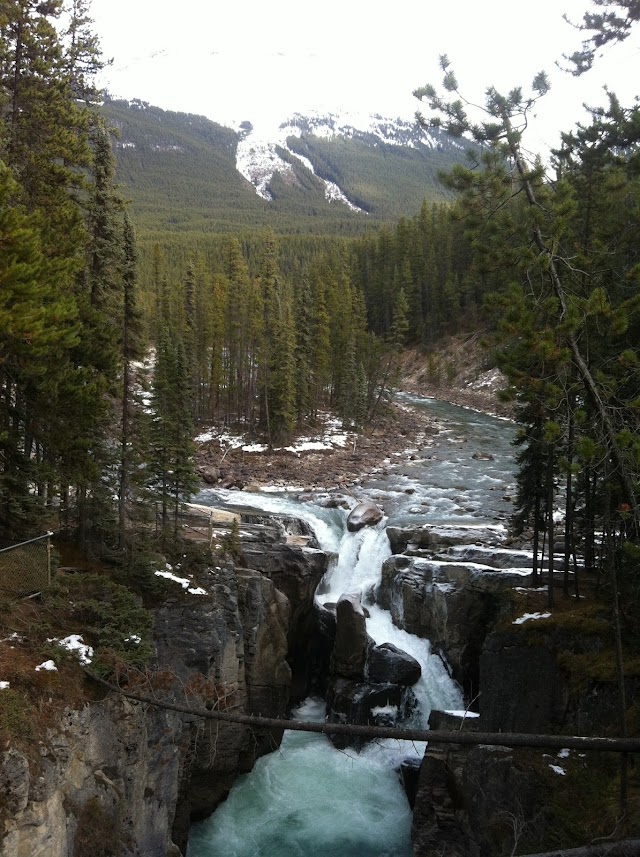 Sunwapta Falls