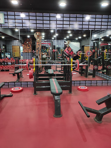 Excellent Fitness Gym