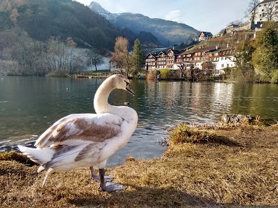 Photos of Seecaf&eacute;