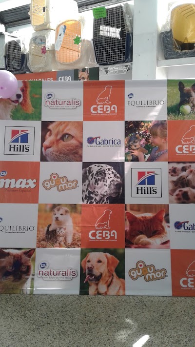 Photos of Ceba