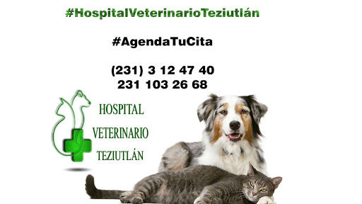 Hospital Veterinario Teziutlàn