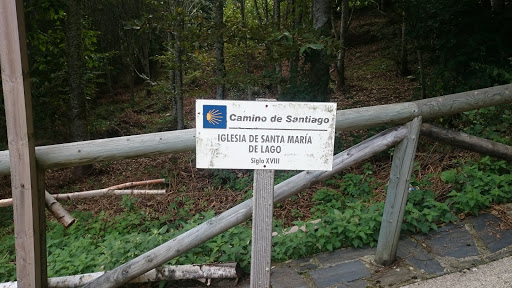 Monumento Natural del Tejo de Lago - Thumbnail