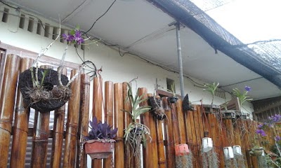 Photos of Harapan Surya
