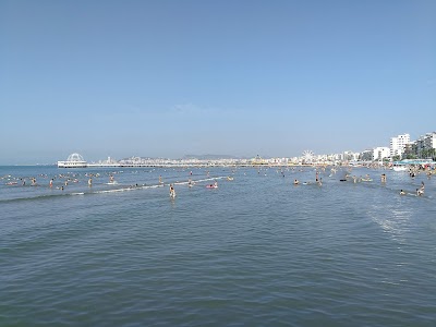 Pista E Vogel Iliria