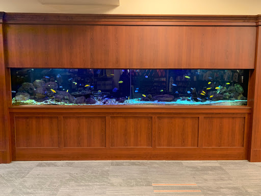 Peninsula Aquatics - Visual