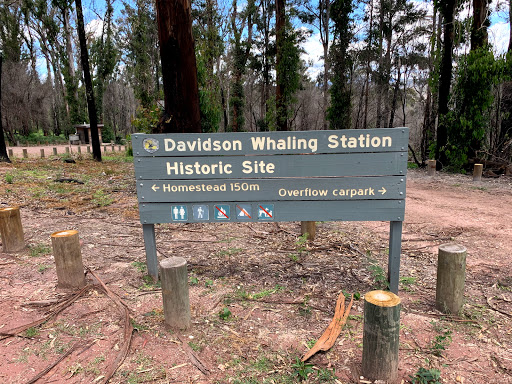 Davidson Whaling Station - Thumbnail