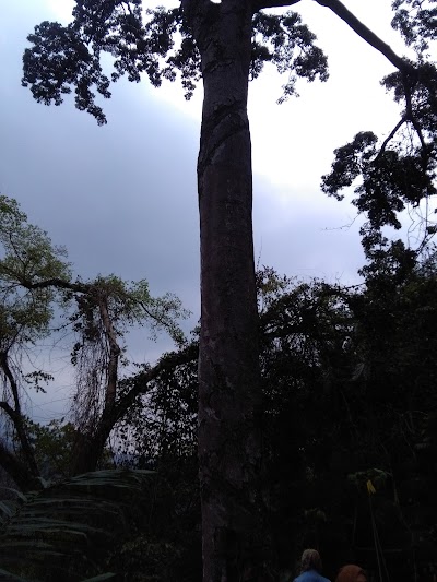 Photos of Stdion Bagus Komala