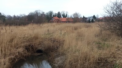 Photos of Pension Zur Kirchsee