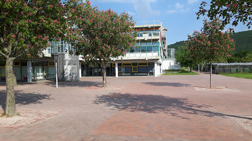 Albertus-Magnus-Gymnasium Ettlingen - Thumbnail