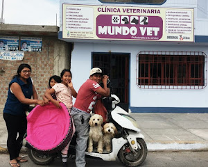 Clínica Veterinaria Mundo Vet 0