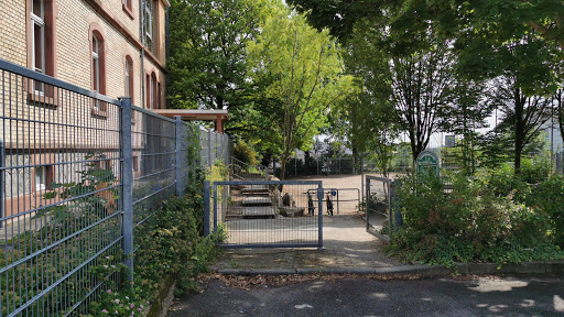 Sepp-Herberger-Grundschule Hohensachsen - Thumbnail