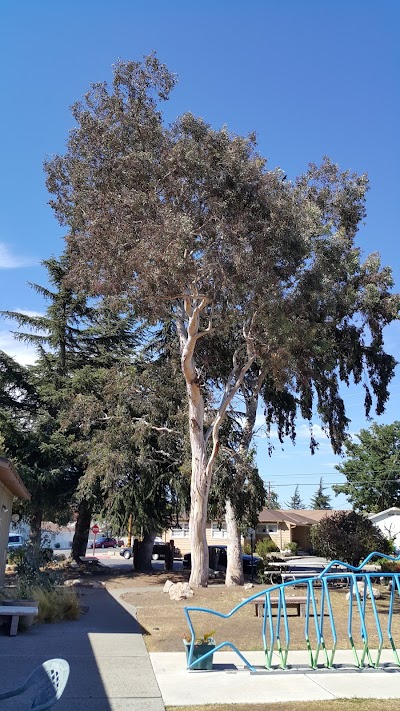 San Juan Bautista Library