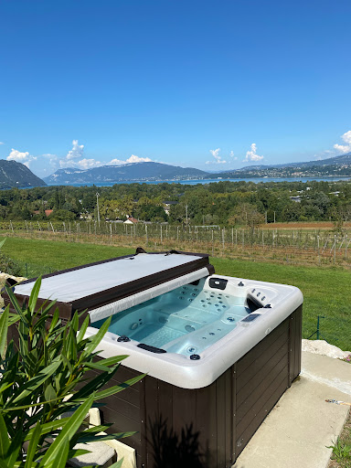Photo de Piscines & Spas à Laval - Ent. Fouassier à Laignelet (35133)