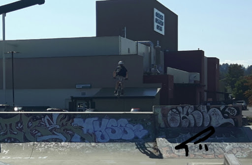 Duncan Skatepark - Thumbnail