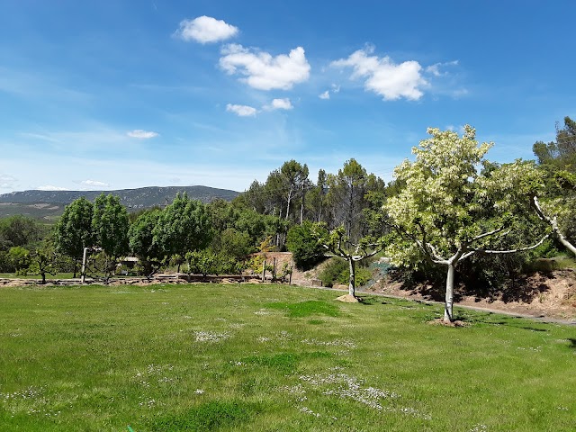 Castillo de Javier