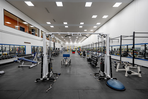 Optimal Sports Plus