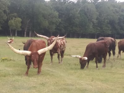 Wild Country Safari Park