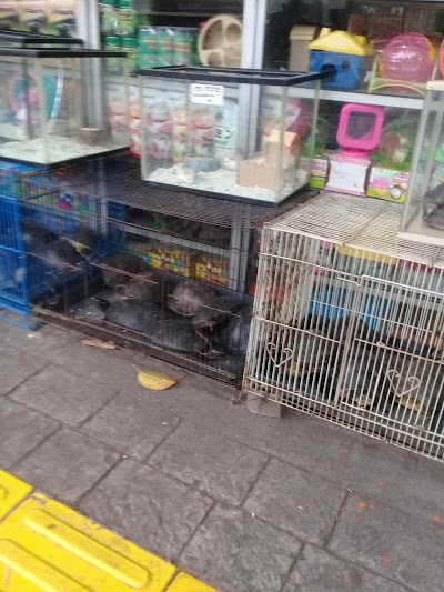 Photos of Barito Pet Shop