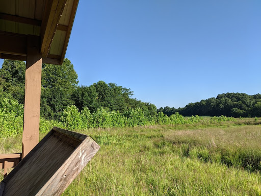 Wetland Observation Deck