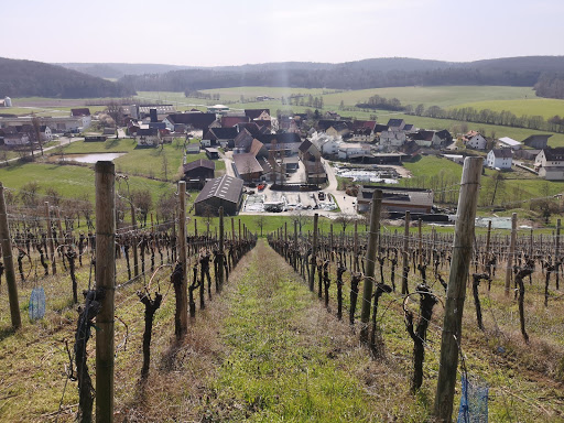 Walddachsbach - Visual
