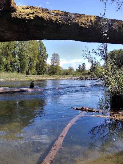 friends of the east fork lewis river