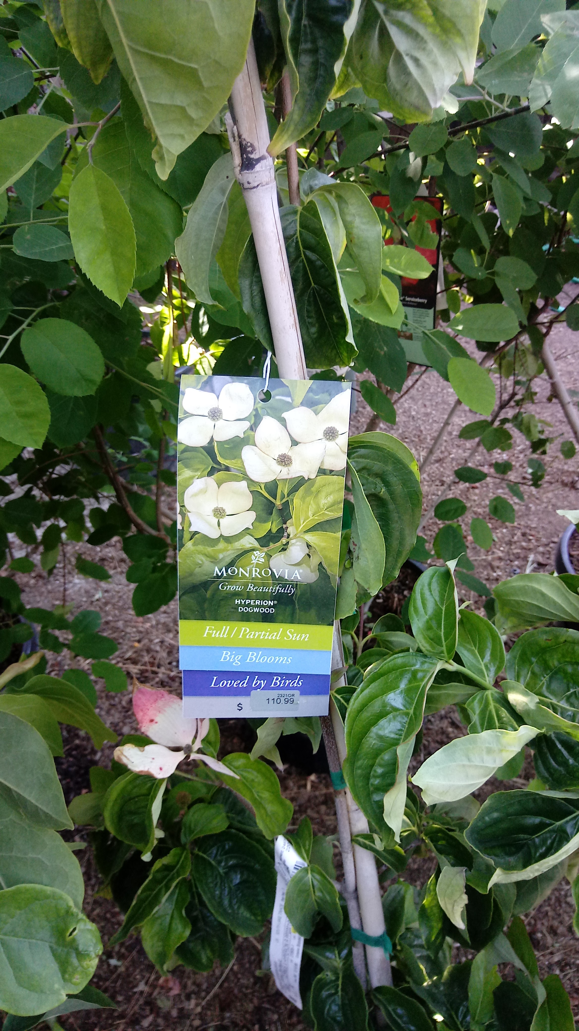 Nel's Garden Center