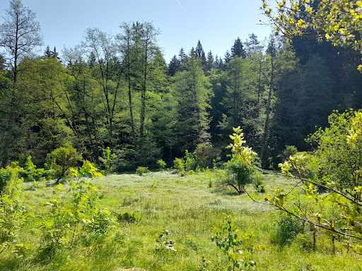 Waldnaab Uferpfad Wanderparkplatz - Thumbnail
